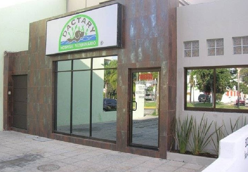 Sucursal principal Fiby Dog