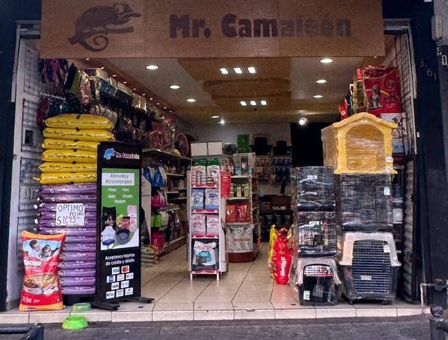 Sucursal principal Fiby Dog