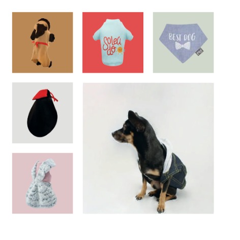 Accesorios para mascotas