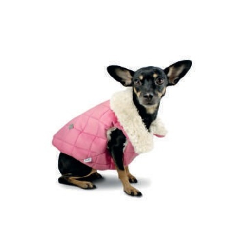 Disfraces para mascotas